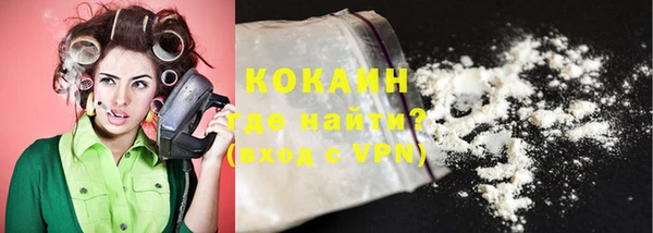 индика Бородино