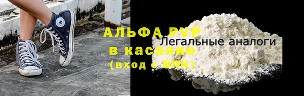 индика Бородино