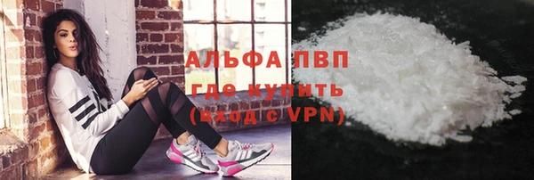 индика Бородино