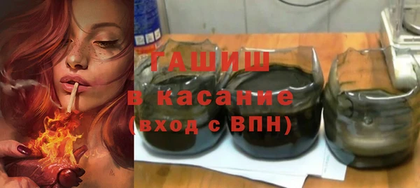 индика Бородино