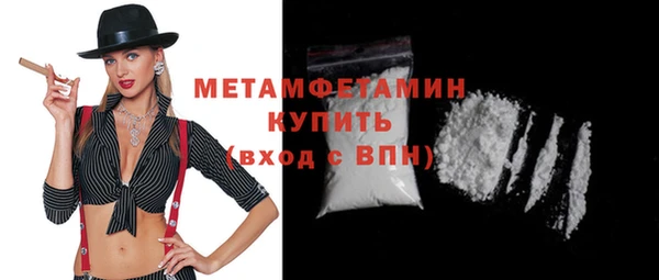 индика Бородино