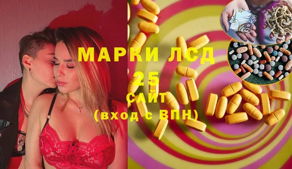 индика Бородино
