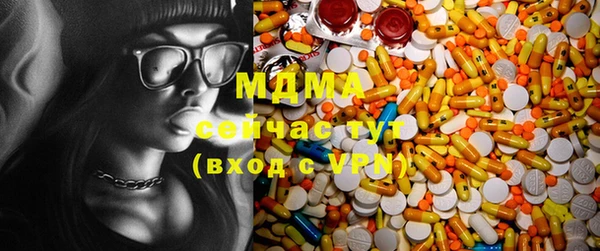 индика Бородино