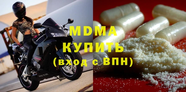 индика Бородино