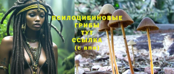 mix Бронницы