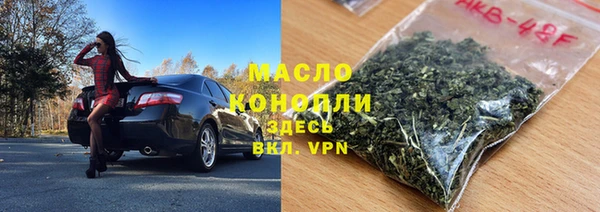 индика Бородино