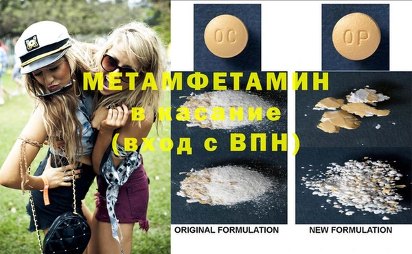 индика Бородино